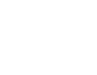 Rezolution Pictures International